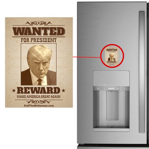 Wanted Fridge Magnet